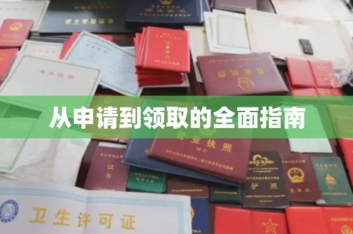勐腊从申请到领取的全面指南