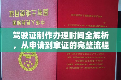 勐腊驾驶证制作办理时间全解析，从申请到拿证的完整流程