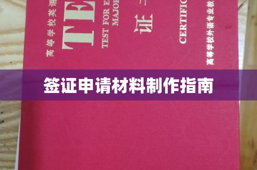 勐腊签证申请材料制作指南