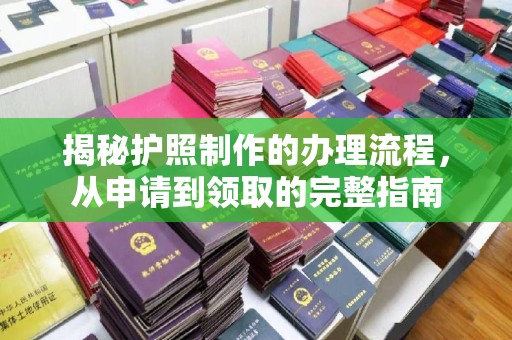 勐腊揭秘护照制作的办理流程，从申请到领取的完整指南
