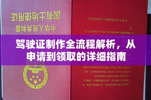勐腊驾驶证制作全流程解析，从申请到领取的详细指南