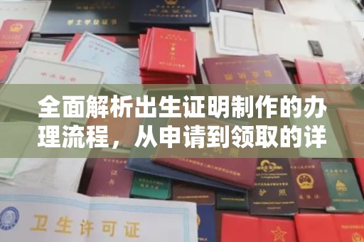 勐腊全面解析出生证明制作的办理流程，从申请到领取的详细指南